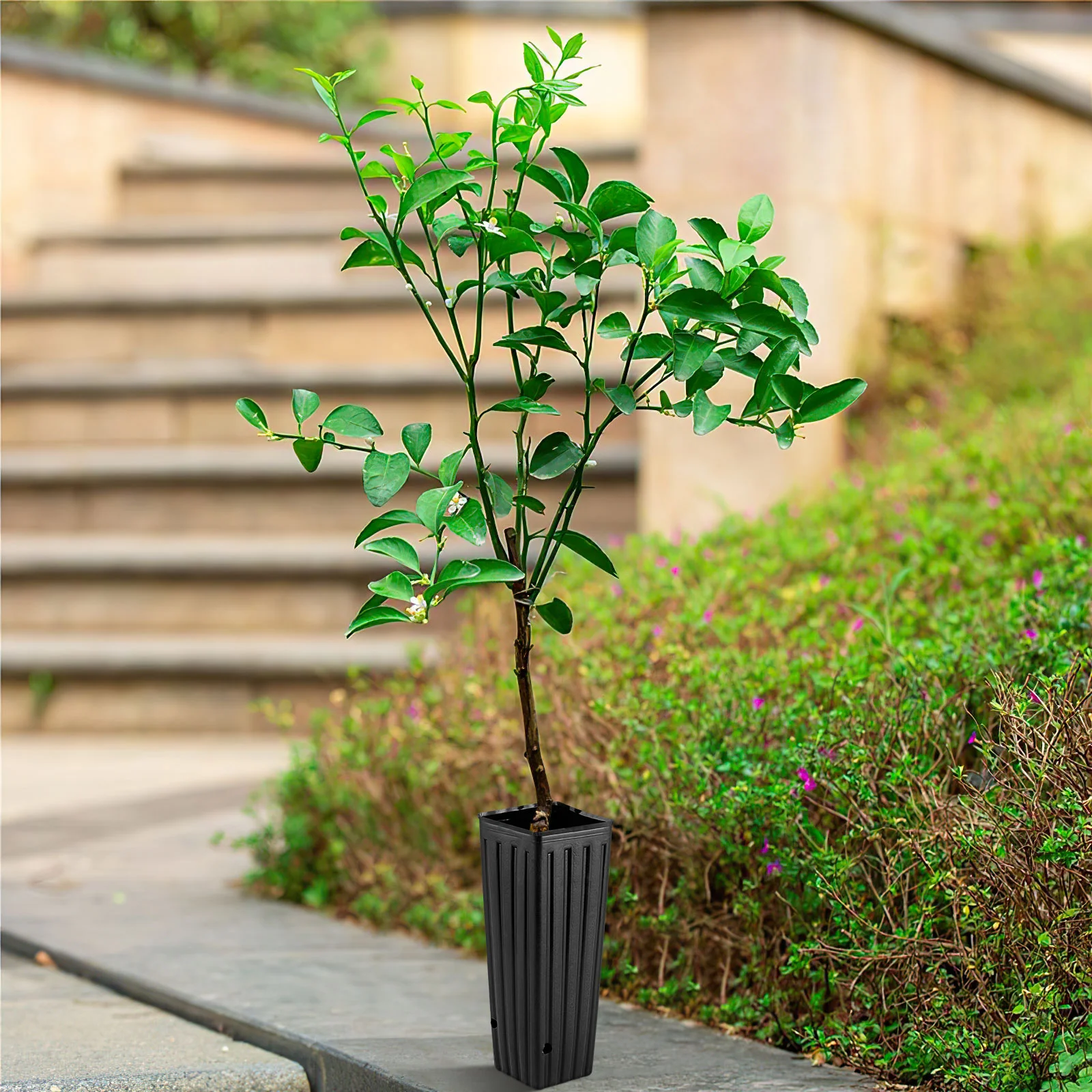 New 50 Pcs Pots Square Black Planter Deep Tree Pots Grow Bags Plants Tree Nursery Pots Tall Black Flower Pot
New 50 Pcs Pots Square Black Planter Deep Tree Pots Grow Bags Plants Tree Nursery Pots Tall Black Flower Pot