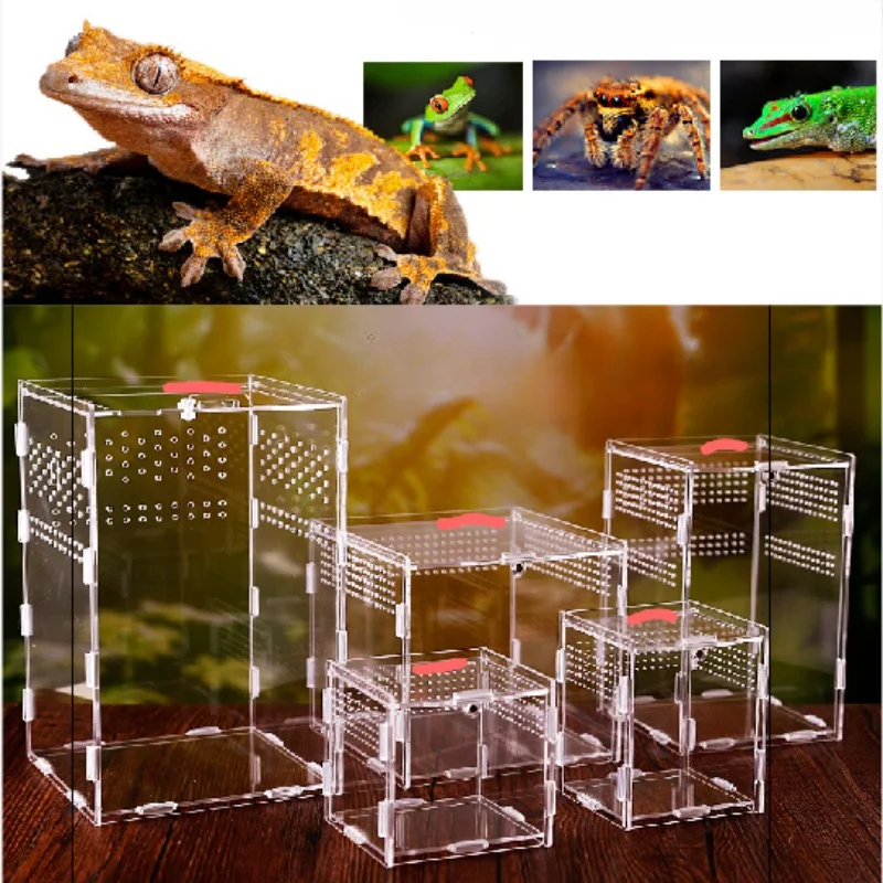Lizard, Turtle Acrylic Breeding Box Transparent Reptile Box Pet Breeding Box Rutin Chicken Organic Glass Storage Box
Lizard, Turtle Acrylic Breeding Box Transparent Reptile Box Pet Breeding Box Rutin Chicken Organic Glass Storage Box