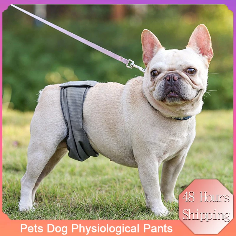 Pets Dog Physiological Pants Sanitary Diaper Female Dog Soft Menstruation Shorts for Dog Pet Product Washable Panties
Pets Dog Physiological Pants Sanitary Diaper Female Dog Soft Menstruation Shorts for Dog Pet Product Washable Panties