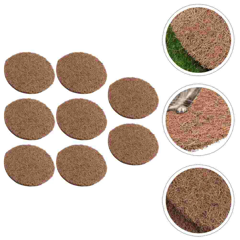 Matpigeon Bird Egg Pad Breeding Bed Pet Fiber Accessory Nesting Iguana Supplies Eggs Liner Bearded Dragon Natural Box Parrots
Matpigeon Bird Egg Pad Breeding Bed Pet Fiber Accessory Nesting Iguana Supplies Eggs Liner Bearded Dragon Natural Box Parrots