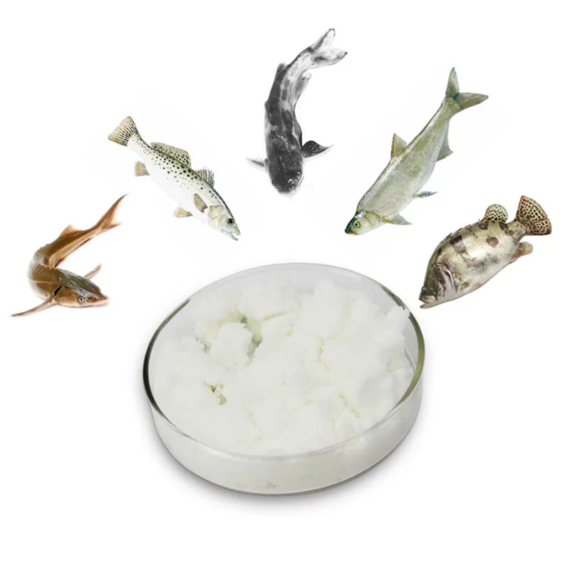 Fishing Bait Additive Carp Attractive Smell Lure Tackle Food DMPT Water Carps Crucian Tilapia Dimethyl-beta-Propiothetin Powder
Fishing Bait Additive Carp Attractive Smell Lure Tackle Food DMPT Water Carps Crucian Tilapia Dimethyl-beta-Propiothetin Powder
