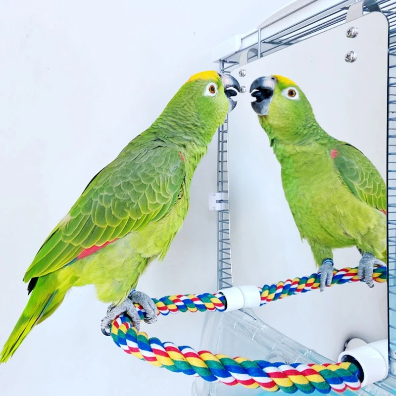Parrot Toy Acrylic Bird Mirror with Rope Perches Toys Bird Swing Comfy Perch for Parakeet Cockatiel Conure Lovebirds Canaries
Parrot Toy Acrylic Bird Mirror with Rope Perches Toys Bird Swing Comfy Perch for Parakeet Cockatiel Conure Lovebirds Canaries