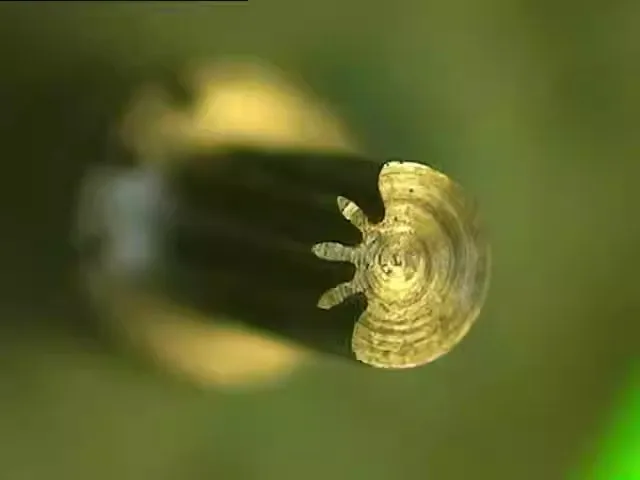 Можно настроить Часы Фреза Шестерня Фреза Вольфрамовая сталь 6104 Часы Токарный станок Вертикальное колесо Сцепление 0,1 Модуль 
Можно настроить Часы Фреза Шестерня Фреза Вольфрамовая сталь 6104 Часы Токарный станок Вертикальное колесо Сцепление 0,1 Модуль