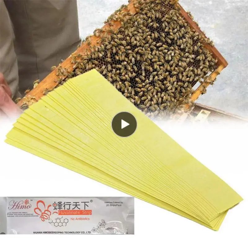 /bag Varroa Strips Fluoramine Cyanthrin Professional Bee Mite Acaricide Convenient Beekeeping Equipment Beekeeping Tool Portable
/bag Varroa Strips Fluoramine Cyanthrin Professional Bee Mite Acaricide Convenient Beekeeping Equipment Beekeeping Tool Portable