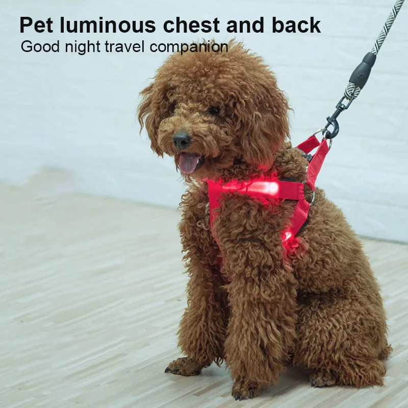 Pet Safety LED Harness Pet Supplies USB Nylon Adjustable Flashing Light Dog Harness Leash Rope Belt Collar Vest For Dogs Pet 
Pet Safety LED Harness Pet Supplies USB Nylon Adjustable Flashing Light Dog Harness Leash Rope Belt Collar Vest For Dogs Pet