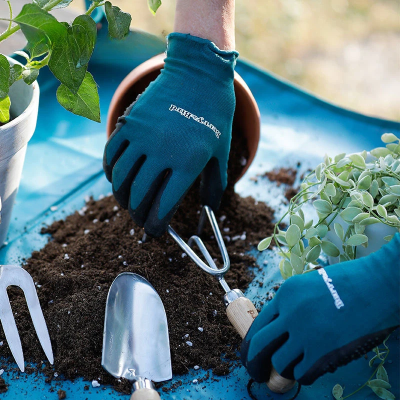 Wear Resistant Gardening Gloves, Dirt Resistant, Household Garden Supplies, Flower Change Pot Cultivation, Slip Resistant
Wear Resistant Gardening Gloves, Dirt Resistant, Household Garden Supplies, Flower Change Pot Cultivation, Slip Resistant