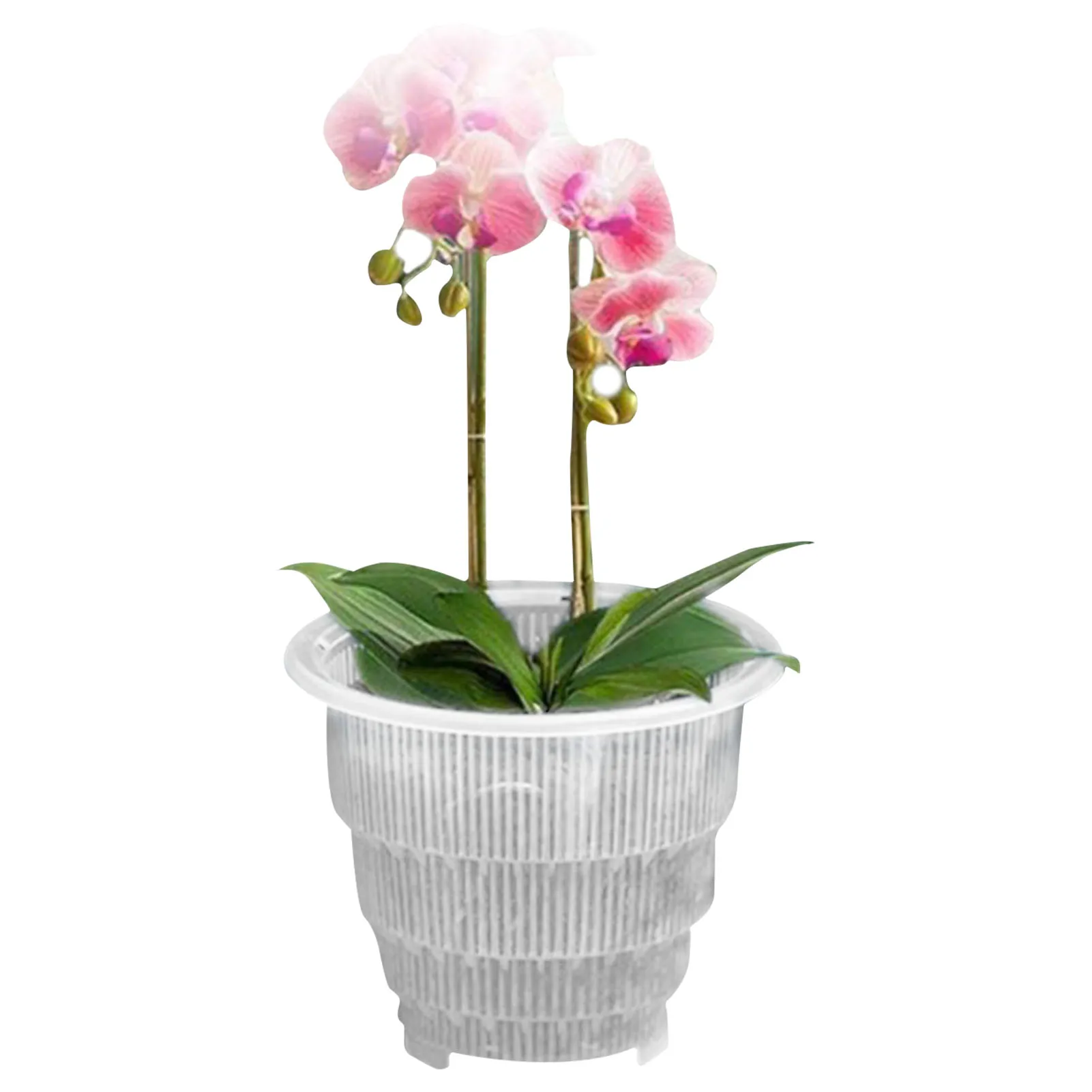 Orchid Pot Flower Planter Pot Plant Pots Flower Plant Container Seed Starting Pots Slotted Orchid Fertilizer Pot Hydroponic Pots
Orchid Pot Flower Planter Pot Plant Pots Flower Plant Container Seed Starting Pots Slotted Orchid Fertilizer Pot Hydroponic Pots