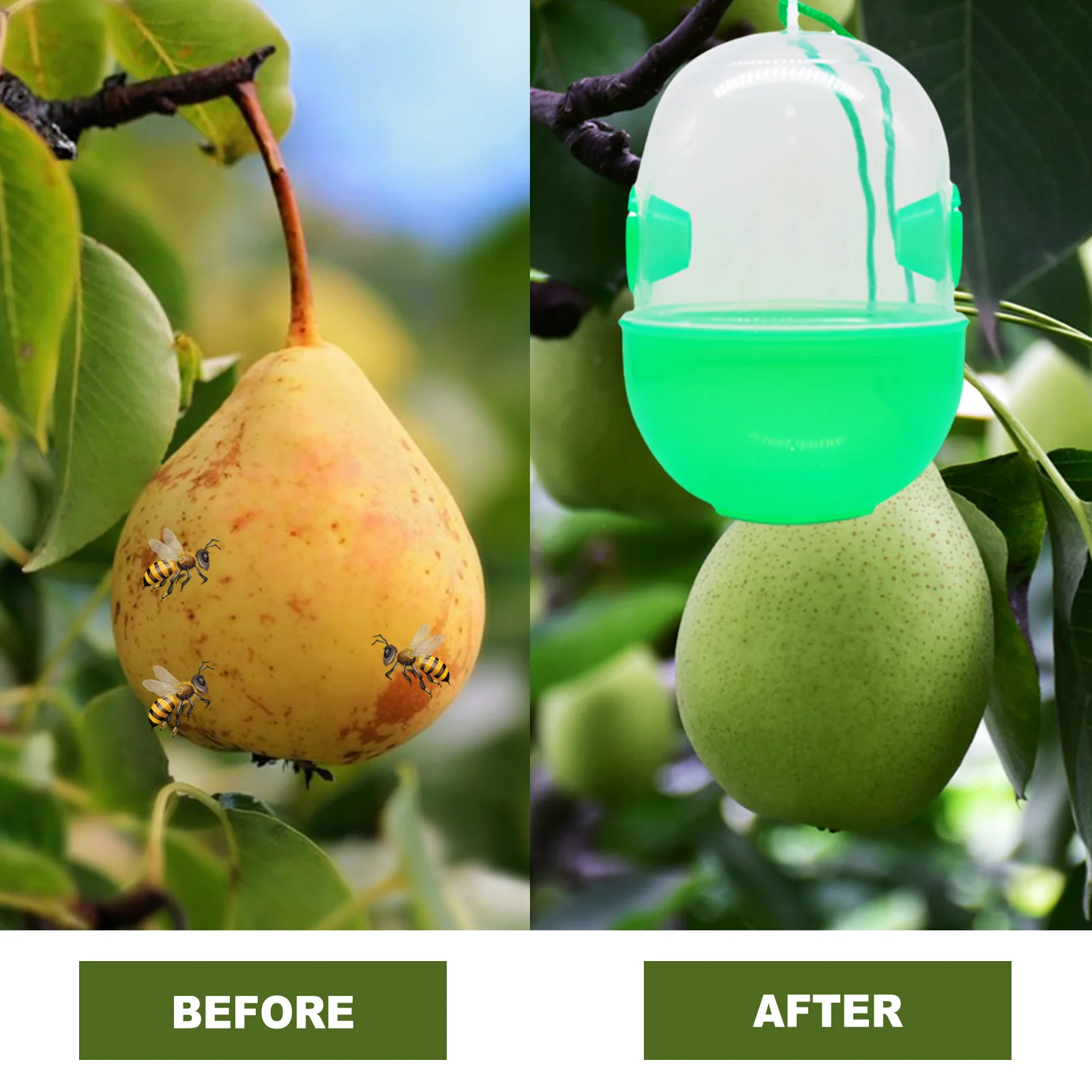 Wasp Trap Can Be Hung On Trees Carpenter Bee Catcher For Garden Farm Outdoor Weather Proof Carpenter Wasps Bee Trap Hornet
Wasp Trap Can Be Hung On Trees Carpenter Bee Catcher For Garden Farm Outdoor Weather Proof Carpenter Wasps Bee Trap Hornet