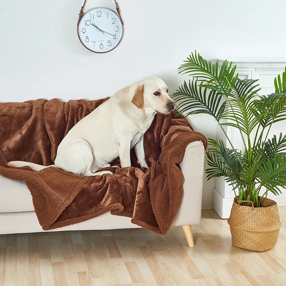 Soft Blankets for Dogs Waterproof Liquid Pee Proof Blanket for Comfortable Bed Couch Reversible Sherpa Fleece Dogs Accessories
Soft Blankets for Dogs Waterproof Liquid Pee Proof Blanket for Comfortable Bed Couch Reversible Sherpa Fleece Dogs Accessories