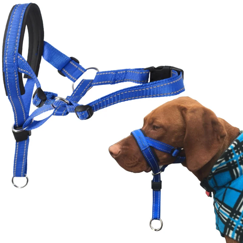 Dog Dogs And Leash Leader Dog Fit Adjustable Large For Muzzle Control Small Mesh Muzzle Training Pet Easy Muzzle
Dog Dogs And Leash Leader Dog Fit Adjustable Large For Muzzle Control Small Mesh Muzzle Training Pet Easy Muzzle