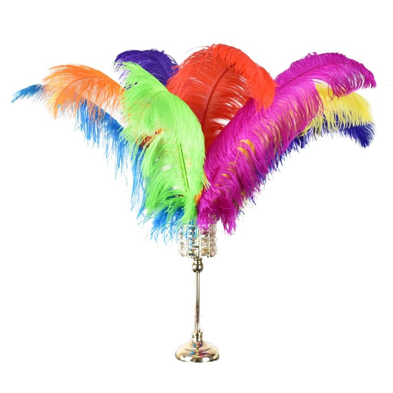 10Pcs/Lot Colorful Ostrich Feathers for Needlework White Black Feather Decor Plumes Vases Table Centerpieces Wedding Decoration
10Pcs/Lot Colorful Ostrich Feathers for Needlework White Black Feather Decor Plumes Vases Table Centerpieces Wedding Decoration