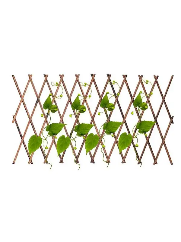 Flexible Solid Wood Fence Enclosure Partition Panel Plant Climb Trellis Support Decoration Garden Fencing For Home Yard Decor
Flexible Solid Wood Fence Enclosure Partition Panel Plant Climb Trellis Support Decoration Garden Fencing For Home Yard Decor