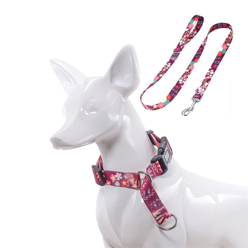 Straight explosion-proof p-collar Decor traction rope kirky small and medium-sized dog
Straight explosion-proof p-collar Decor traction rope kirky small and medium-sized dog