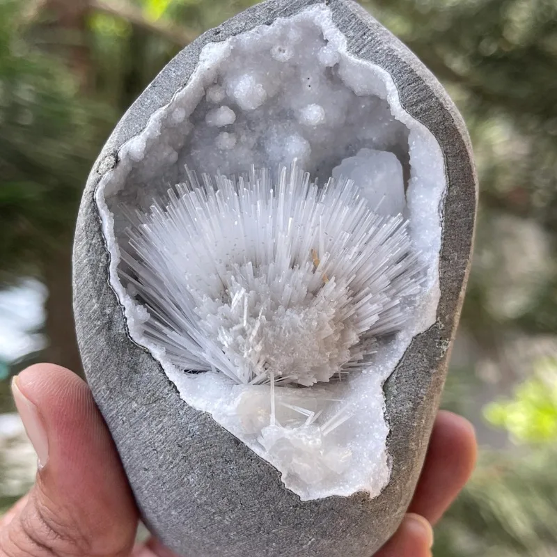 Геод из апофиллитового кварца с цветком сколецита CrystalHola
Геод из апофиллитового кварца с цветком сколецита CrystalHola