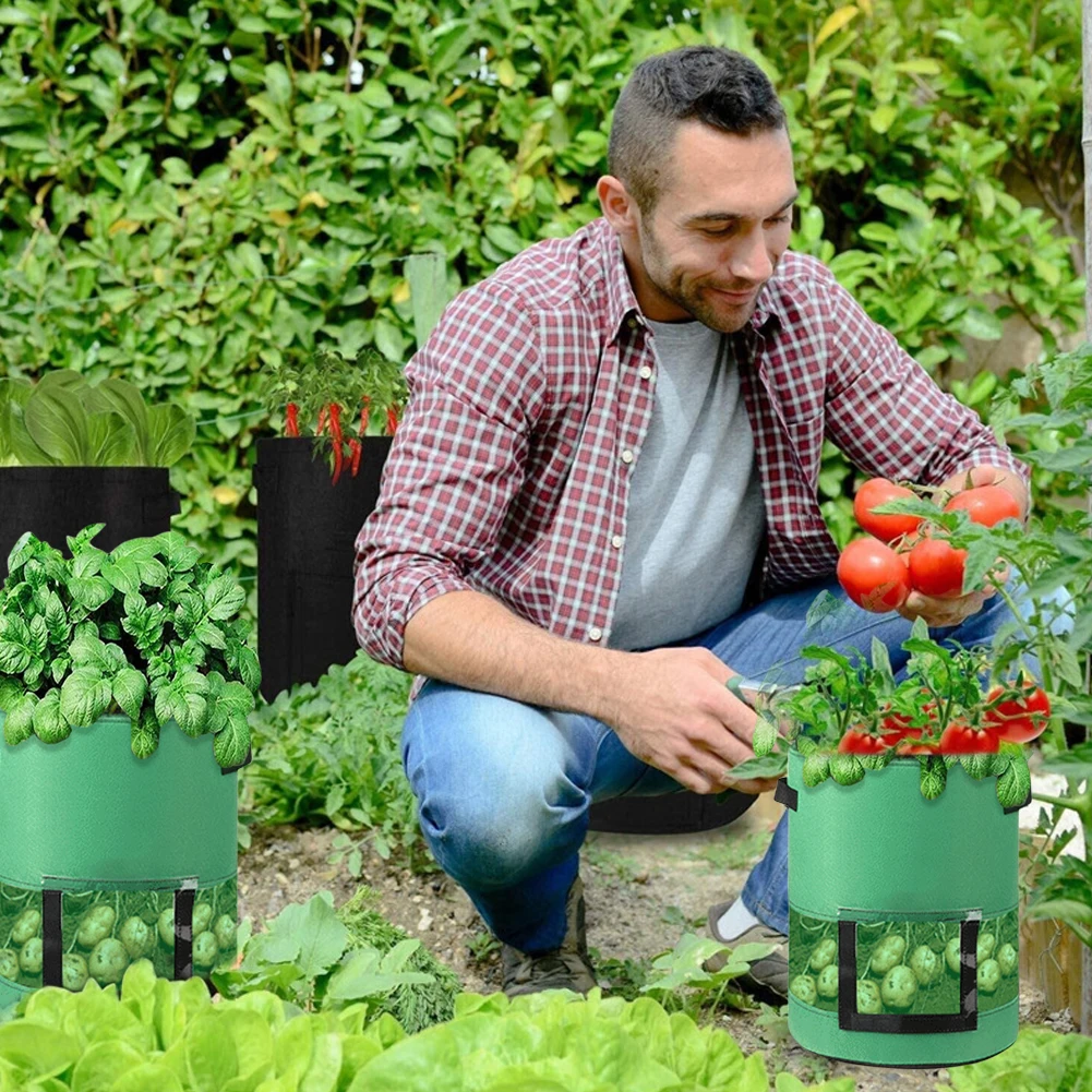 7/10 Gallon Felt Plant Grow Bags Transparent Potato Pot with Handle Seed Vegetabls Onion Carrot Planter Outdoor Garden Tools
7/10 Gallon Felt Plant Grow Bags Transparent Potato Pot with Handle Seed Vegetabls Onion Carrot Planter Outdoor Garden Tools