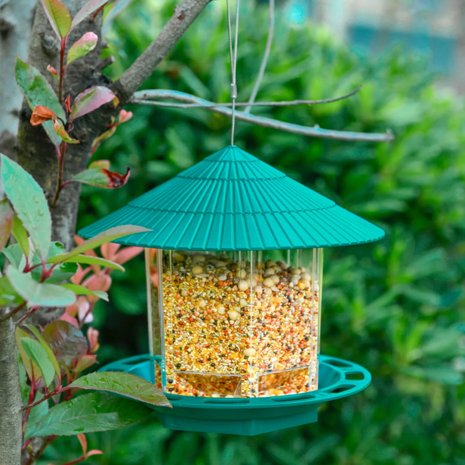 Hanging Bird Feeders Hanging Wild Bird Feeder With Wire Roof For Outside Squirrel Proof Hummingbird Feeders With Wire & Roof For
Hanging Bird Feeders Hanging Wild Bird Feeder With Wire Roof For Outside Squirrel Proof Hummingbird Feeders With Wire & Roof For