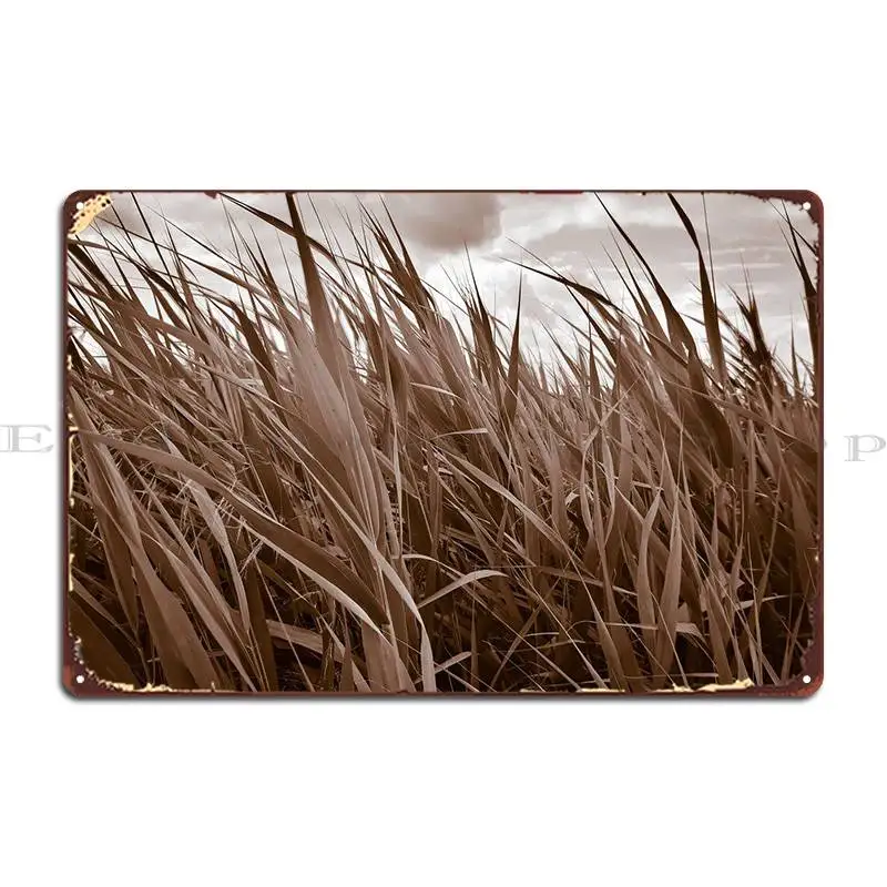 Sepia Cattail металлическая табличка для фотосъемки, печатные фотообои для кинотеатра, винтажные жестяные плакаты
Sepia Cattail металлическая табличка для фотосъемки, печатные фотообои для кинотеатра, винтажные жестяные плакаты