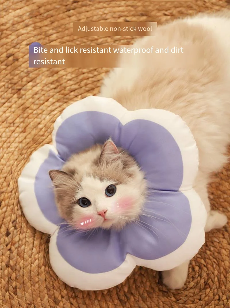1Pcs Cat Collars Can Be Adjusted Prevent Licking Waterproof Solid Color Soft Comfort Cute Head Cover Household Pet Products
1Pcs Cat Collars Can Be Adjusted Prevent Licking Waterproof Solid Color Soft Comfort Cute Head Cover Household Pet Products