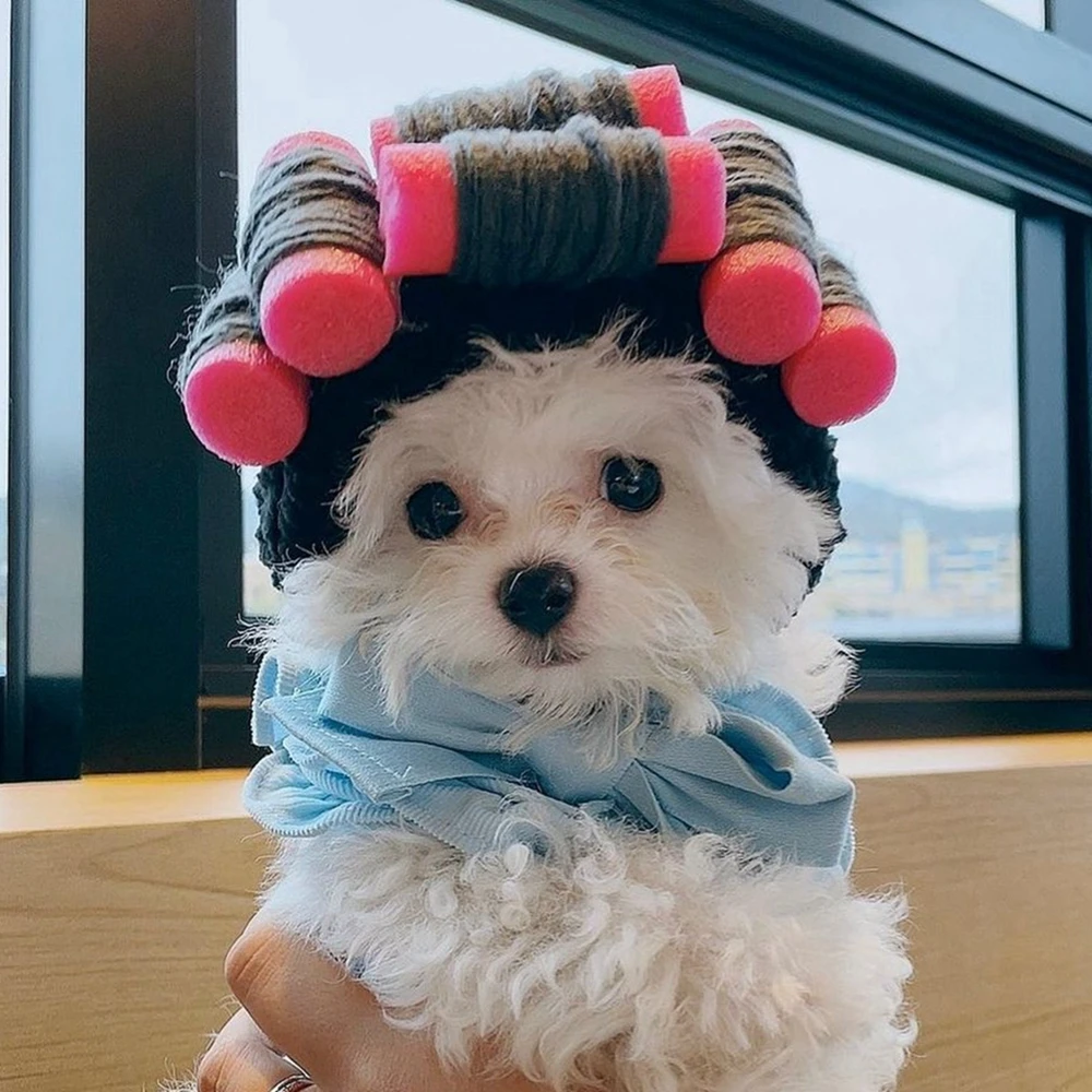 Cute Curly Hair Pet Cat Costume Hat Dog Headwear Funny Cosplay Costume for Small Medium Pet Cat Accessories Photo Props
Cute Curly Hair Pet Cat Costume Hat Dog Headwear Funny Cosplay Costume for Small Medium Pet Cat Accessories Photo Props