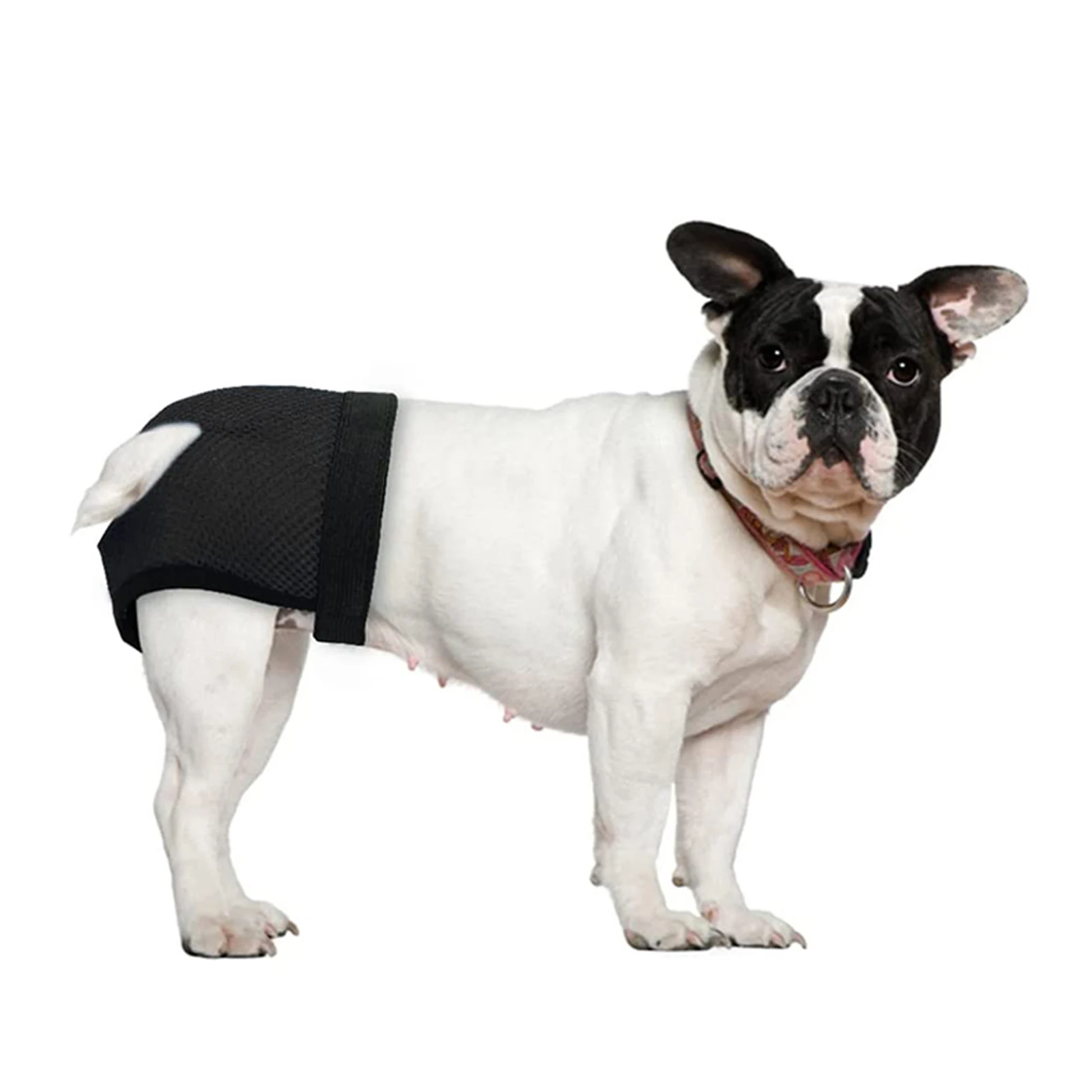 Washable Female Dog Diapers Washable & Breathable Doggy Diaper For Heat Cycle Breathable Absorbent Diapers With 3 Cotton
Washable Female Dog Diapers Washable & Breathable Doggy Diaper For Heat Cycle Breathable Absorbent Diapers With 3 Cotton