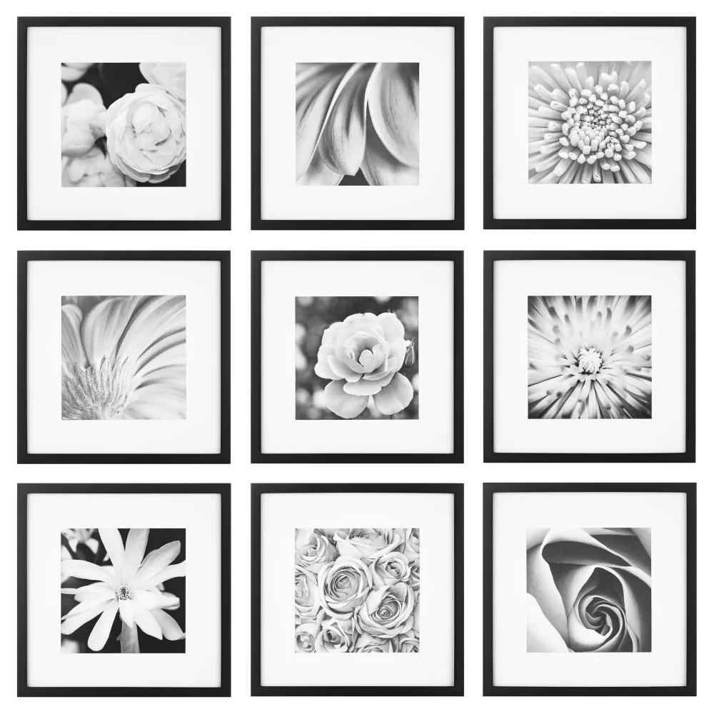 

Gallery Perfect 12.5 x 12.5 Black Gallery Wall Frame 6 Count for 8" x 8" or 12" x 12" Photos frame