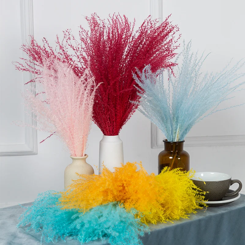 40PCS Natural Real Reed Pampas Grass Dried Plants Flower Bouquet For Home Blumen Decoration DIY Table Accessories Wedding Party
40PCS Natural Real Reed Pampas Grass Dried Plants Flower Bouquet For Home Blumen Decoration DIY Table Accessories Wedding Party