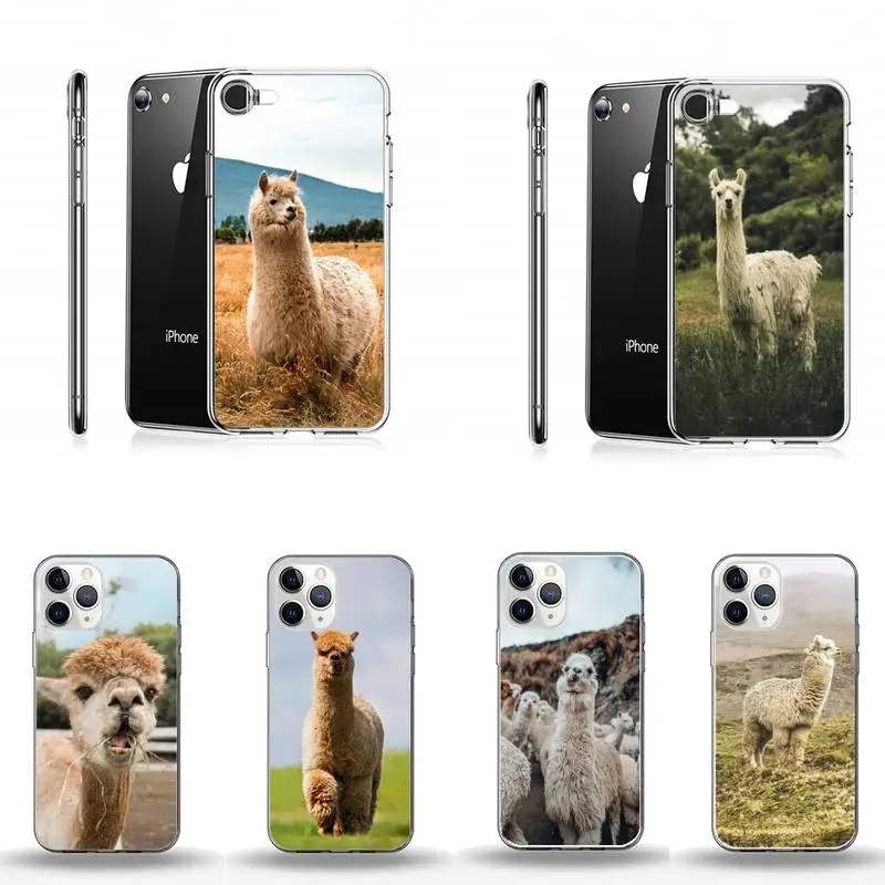 Alpaca Cute funny animal Phone Case Transparent soft For iphone 12 11 13 7 8 6 s plus x xs xr pro max mini
Alpaca Cute funny animal Phone Case Transparent soft For iphone 12 11 13 7 8 6 s plus x xs xr pro max mini