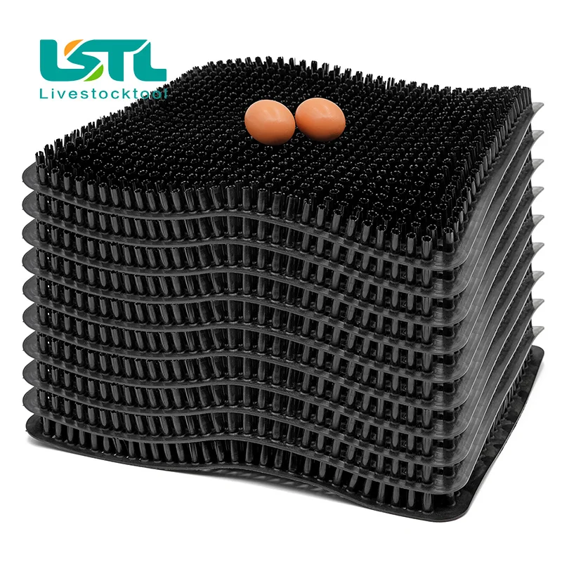 5 Pcs Egg Nest Mat Chicken Breeding Nest Pads for Chicken Coops Nesting Boxes Chicken Bedding Hen Chicken Coop Plastic Straw Mat
5 Pcs Egg Nest Mat Chicken Breeding Nest Pads for Chicken Coops Nesting Boxes Chicken Bedding Hen Chicken Coop Plastic Straw Mat