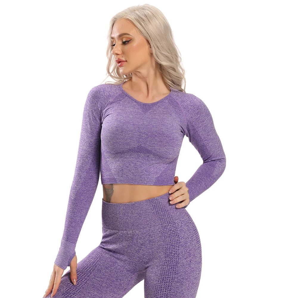 Seamless Yoga Top Long Sleeve Workout Tops for Women Fitness Crop Tops Short Active Sportswear Sexy Women's Shirt Gym Clothing
Seamless Yoga Top Long Sleeve Workout Tops for Women Fitness Crop Tops Short Active Sportswear Sexy Women's Shirt Gym Clothing