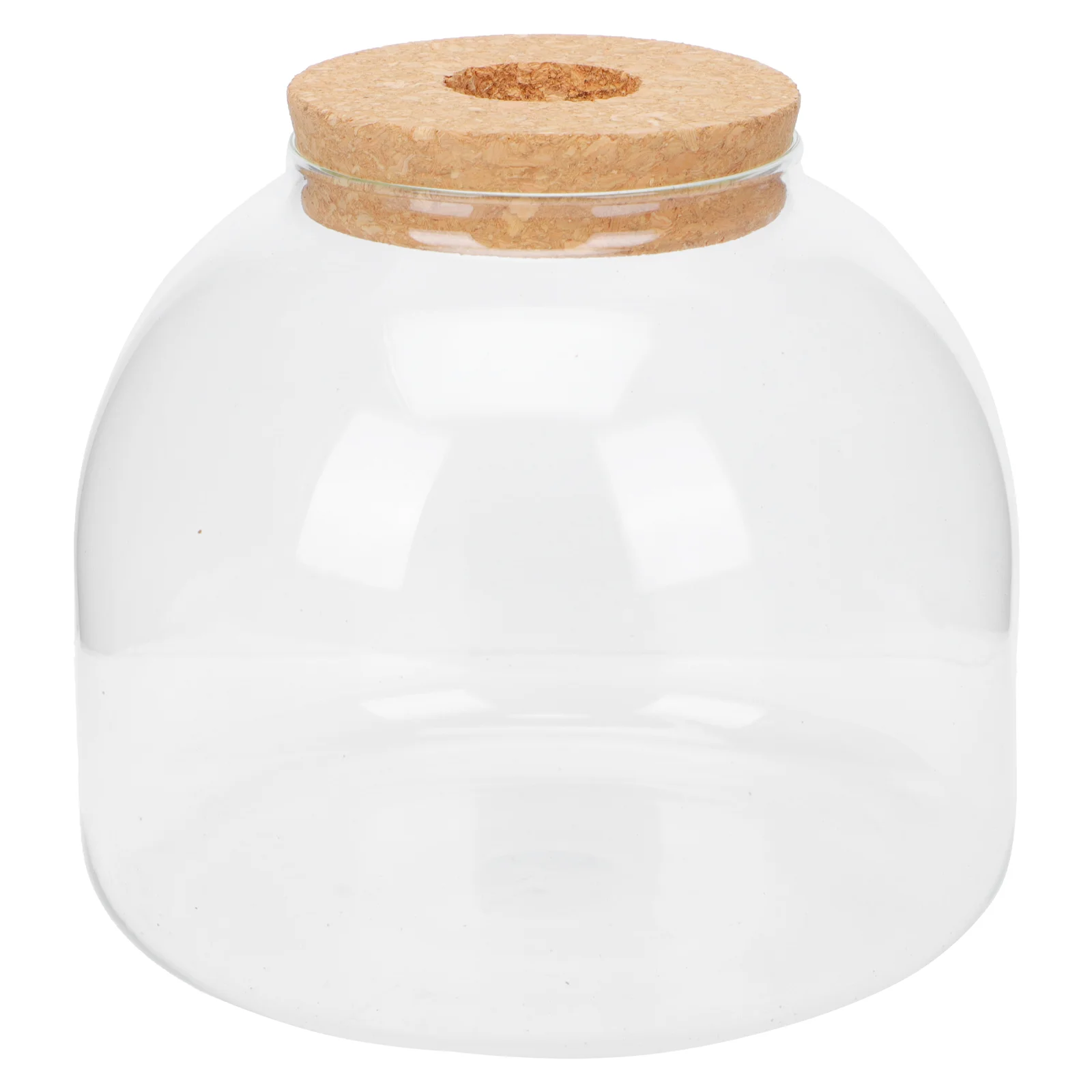 The Flowers Microlandscape Container Simple Glass Bottle Crafts Terrarium Holder Canister
The Flowers Microlandscape Container Simple Glass Bottle Crafts Terrarium Holder Canister