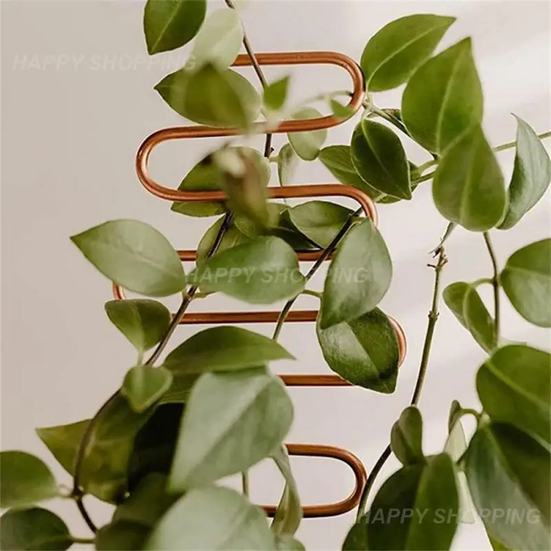 Metal Trellis for Climbing Plants Indoor in the Garden, Plant Climbing Rack Potted Plants Gold Trellis Support Garden Supplies 
Metal Trellis for Climbing Plants Indoor in the Garden, Plant Climbing Rack Potted Plants Gold Trellis Support Garden Supplies