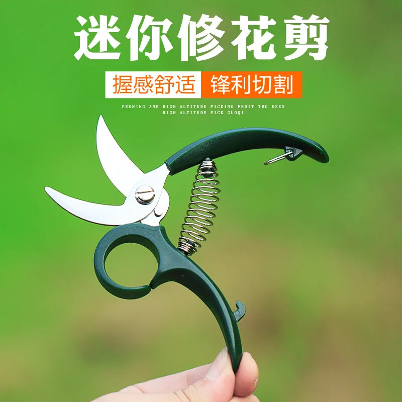 Flower pruning scissors flower succulent plant branches and leaves pruning garden pruning shears small flower scissors
Flower pruning scissors flower succulent plant branches and leaves pruning garden pruning shears small flower scissors