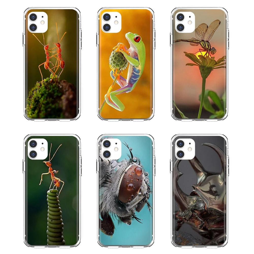 The-Absolute-Best-Macro-Photography Soft Shell Case For iPhone 10 11 12 13 Mini Pro 4S 5S SE 5C 6 6S 7 8 X XR XS Plus Max 2020
The-Absolute-Best-Macro-Photography Soft Shell Case For iPhone 10 11 12 13 Mini Pro 4S 5S SE 5C 6 6S 7 8 X XR XS Plus Max 2020