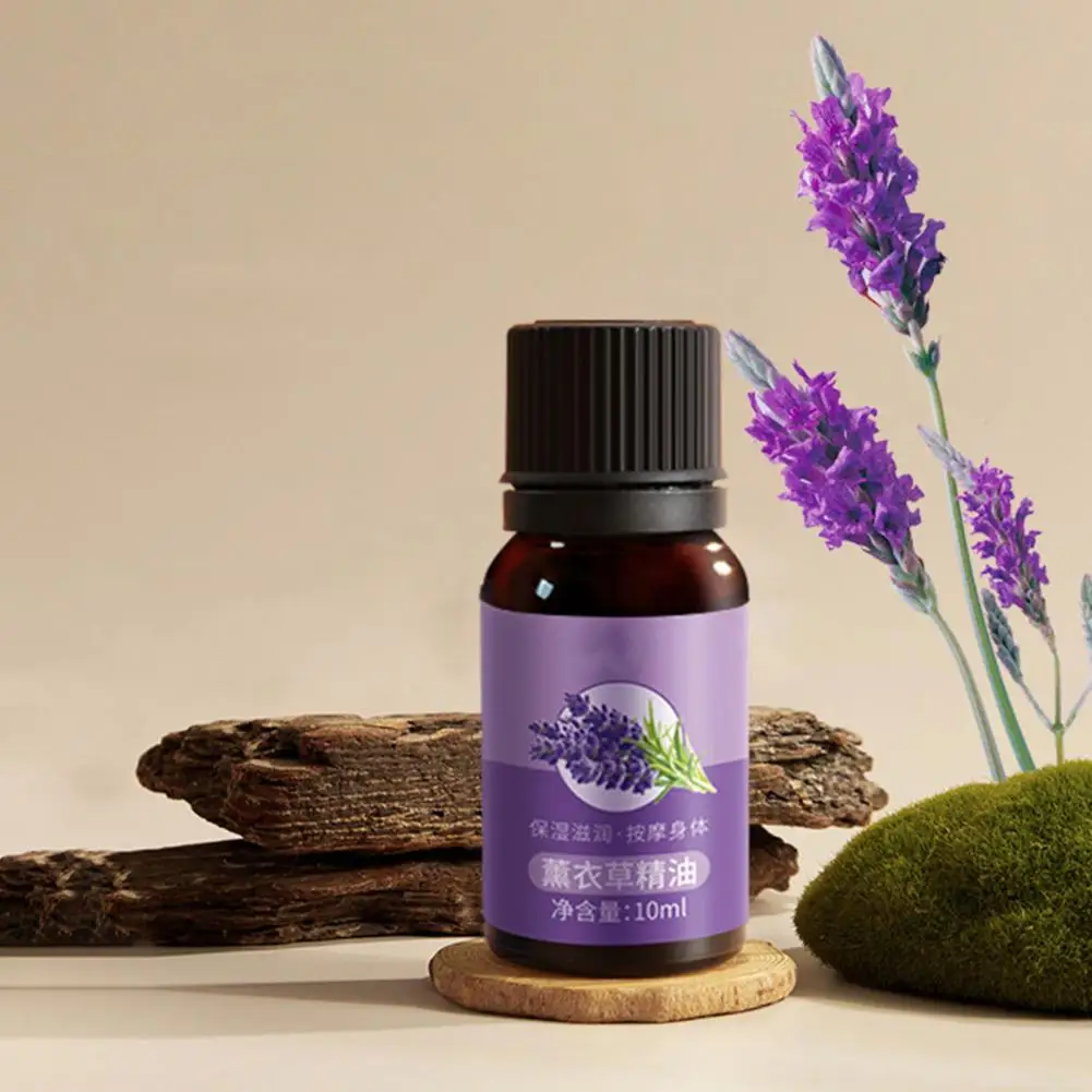 Smoother Supple Skin Essential Oil Essential Oil Rose Ginger Extract for Skin Nourishment Massage Pore Control Quick Absorption
Smoother Supple Skin Essential Oil Essential Oil Rose Ginger Extract for Skin Nourishment Massage Pore Control Quick Absorption