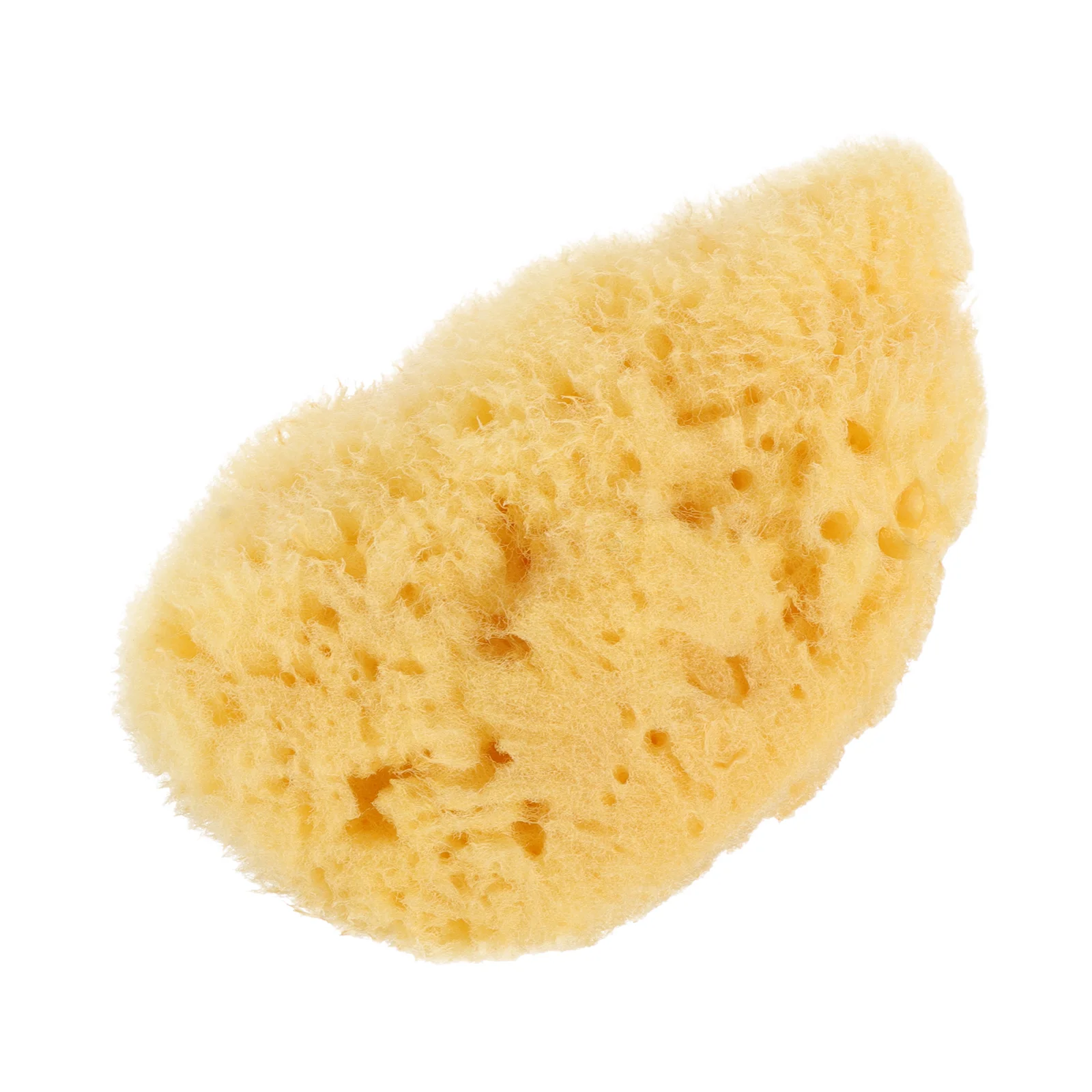 Painting Texture Sponge Doodling Watercolor Tool Graffiti Accessory Artist Sponges
Painting Texture Sponge Doodling Watercolor Tool Graffiti Accessory Artist Sponges