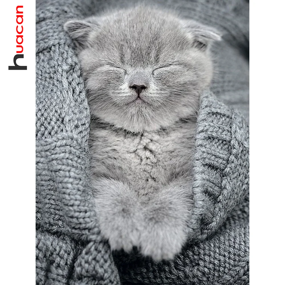 Huacan DIY Diamond Painting Cat Full Square/round Mosaic Embroidery Animal Rhinestones Pictures Home Decoration
Huacan DIY Diamond Painting Cat Full Square/round Mosaic Embroidery Animal Rhinestones Pictures Home Decoration