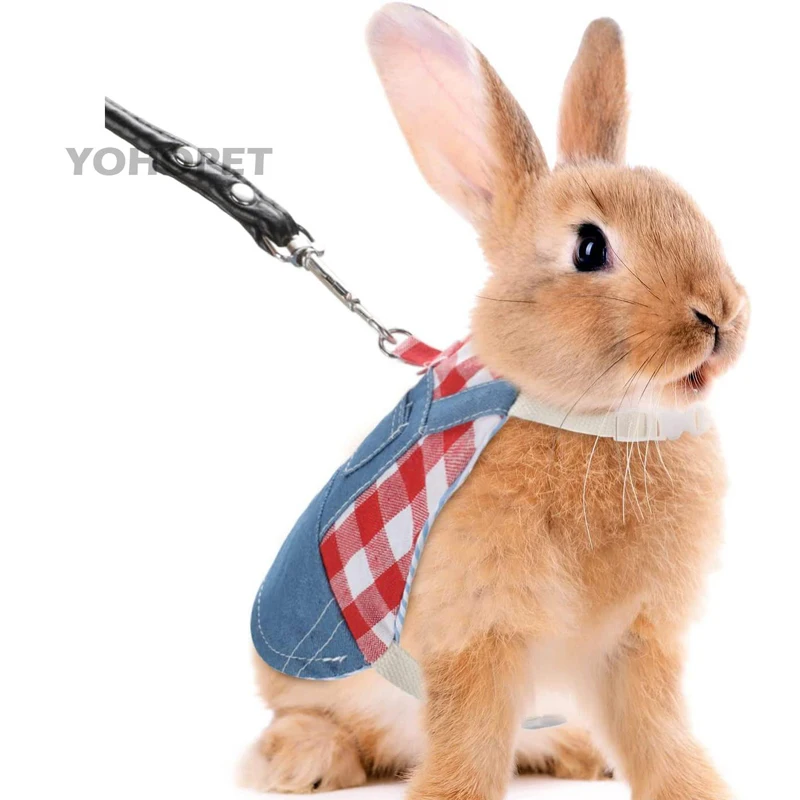 Новый дизайн, Модная стильная маленькая ковбойская куртка для домашних животных, жилет, воротник, шлейка и поводок, зайчик, предметы одежды, аксессуары 
Новый дизайн, Модная стильная маленькая ковбойская куртка для домашних животных, жилет, воротник, шлейка и поводок, зайчик, предметы одежды, аксессуары