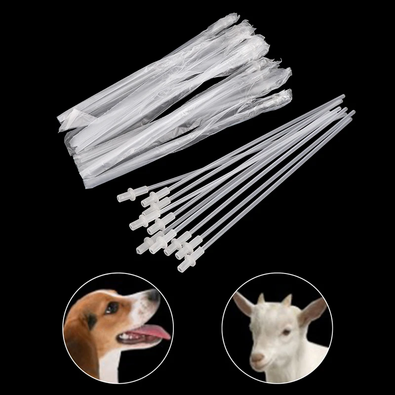 10PCS/Bags Pet Dog Artifical Insemination Catheter Disposable Fresh Sperm Semen Injection Device Hospital Breeding Supplies
10PCS/Bags Pet Dog Artifical Insemination Catheter Disposable Fresh Sperm Semen Injection Device Hospital Breeding Supplies
