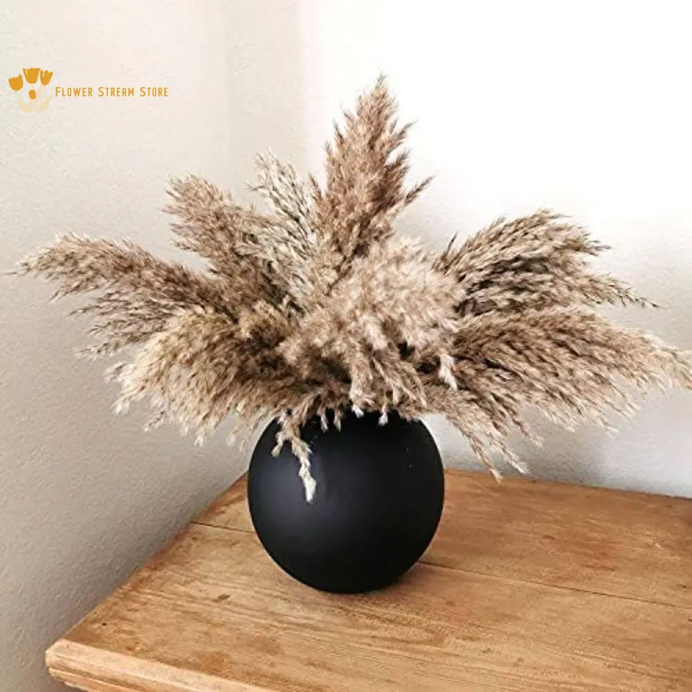 Fluffy Dried Pampas Grass Bouquets Dry Flower Boho Home Decor Accessories Natural Phragmite Reed Wedding Party Table Decoration
Fluffy Dried Pampas Grass Bouquets Dry Flower Boho Home Decor Accessories Natural Phragmite Reed Wedding Party Table Decoration