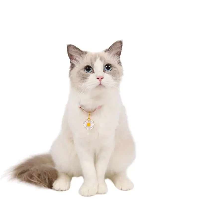 2022New style adjustable pet collar flower hollow bell cat dog harness rabbit leash coleira cachorro perros de gato accessories
2022New style adjustable pet collar flower hollow bell cat dog harness rabbit leash coleira cachorro perros de gato accessories