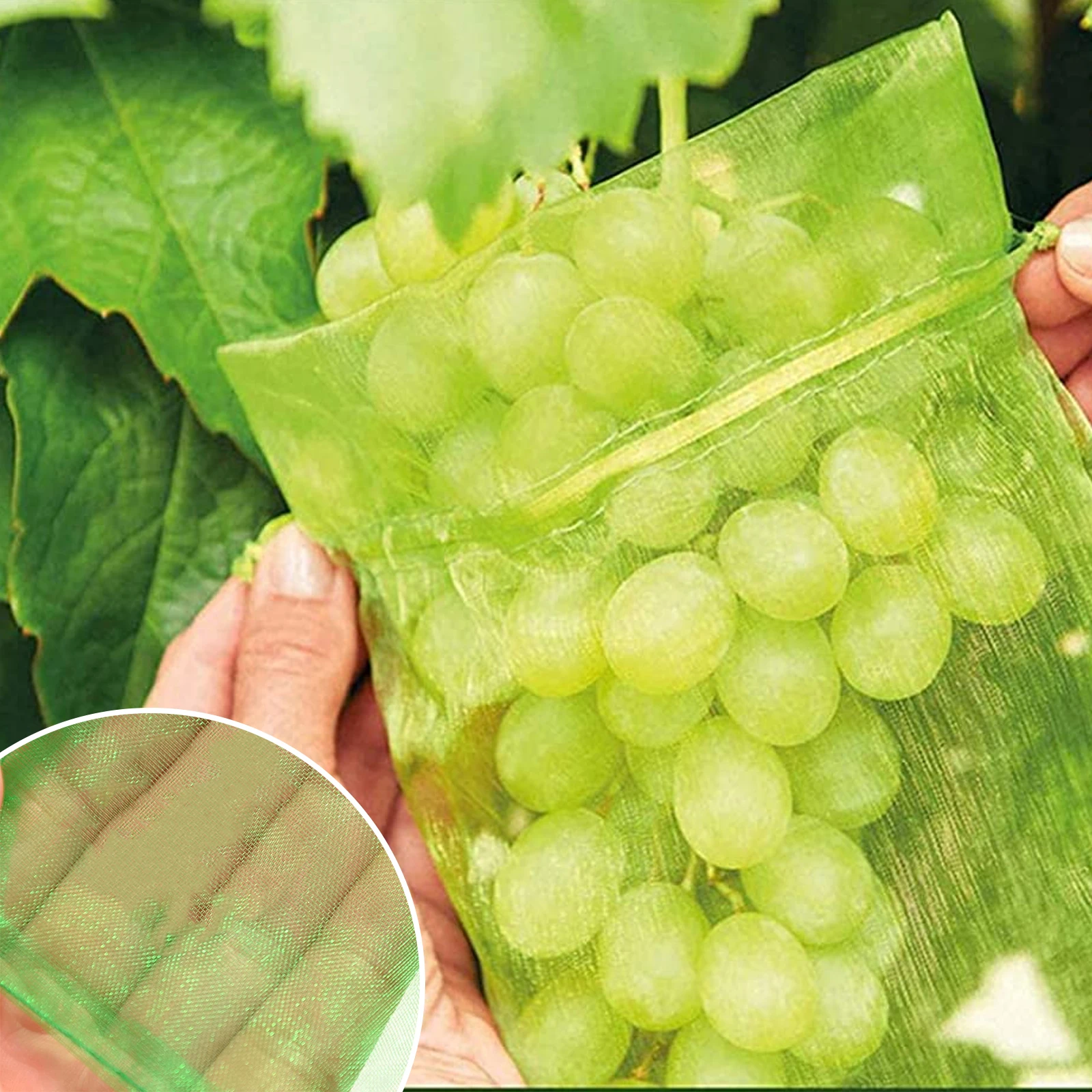 100pcs Fruit Protection Bags Pest Control Anti-Bird Garden Netting Strawberry Bags Mesh Grapes Bag Drawstring Planter Grow Bags
100pcs Fruit Protection Bags Pest Control Anti-Bird Garden Netting Strawberry Bags Mesh Grapes Bag Drawstring Planter Grow Bags