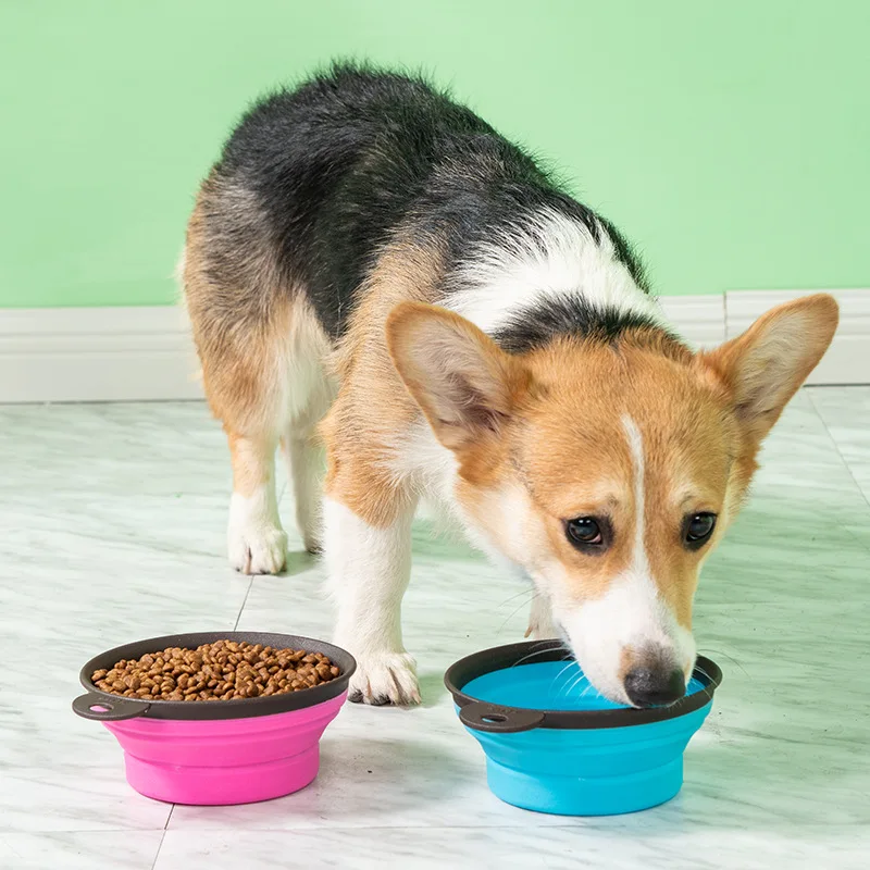 Dog Collapsible Bowl Folding Silicone Pet Travel Bowls Food Water Feeding Foldable Cup With Carabiner for Dog Cat
Dog Collapsible Bowl Folding Silicone Pet Travel Bowls Food Water Feeding Foldable Cup With Carabiner for Dog Cat