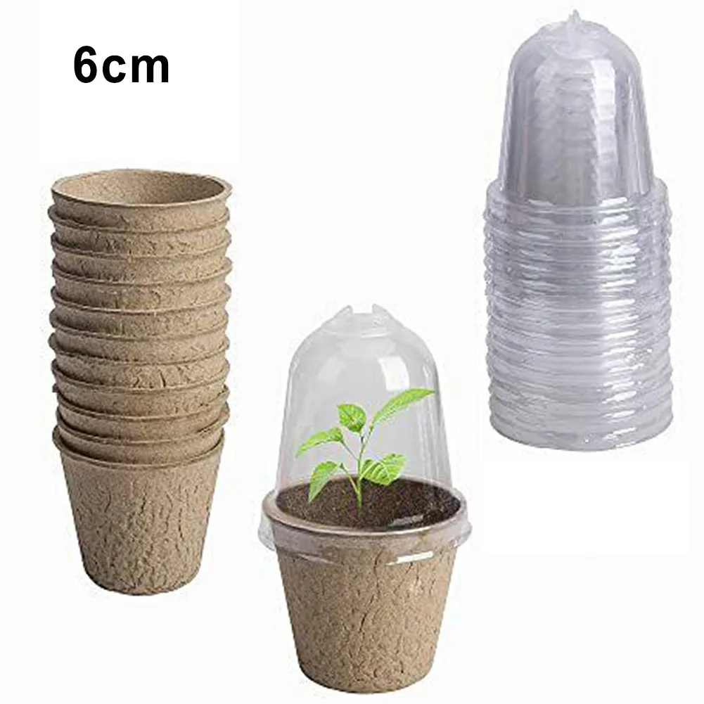 Humidity Dome Plant Pots With Humidity Dome 10pcs Biodegradable For Grow Nursery Garden Supply Paper Plant Pots
Humidity Dome Plant Pots With Humidity Dome 10pcs Biodegradable For Grow Nursery Garden Supply Paper Plant Pots