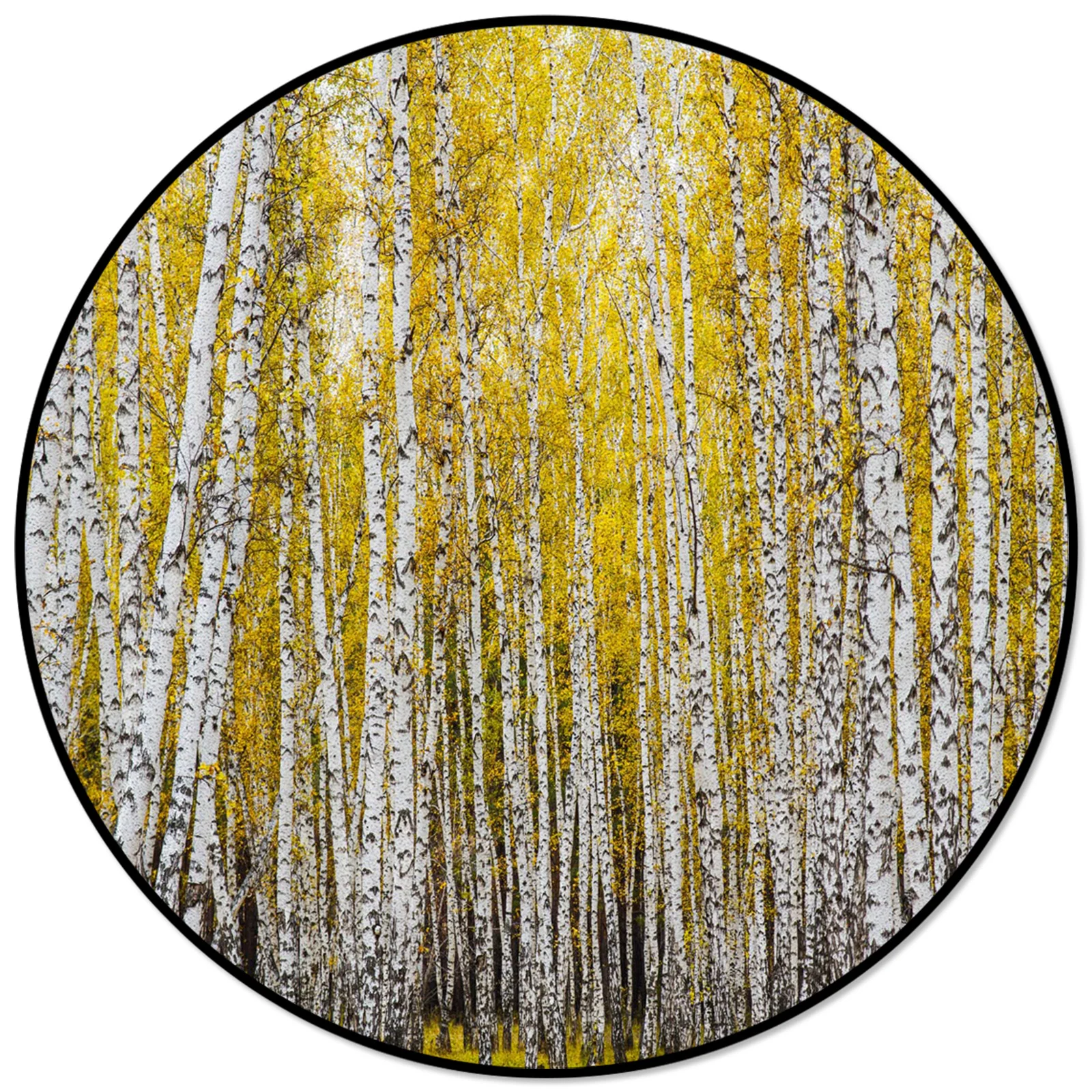 Осенние коврики и ковровые покрытия Aspen Tree для дома, гостиной, круглый ковер для детской комнаты, нескользящий
Осенние коврики и ковровые покрытия Aspen Tree для дома, гостиной, круглый ковер для детской комнаты, нескользящий