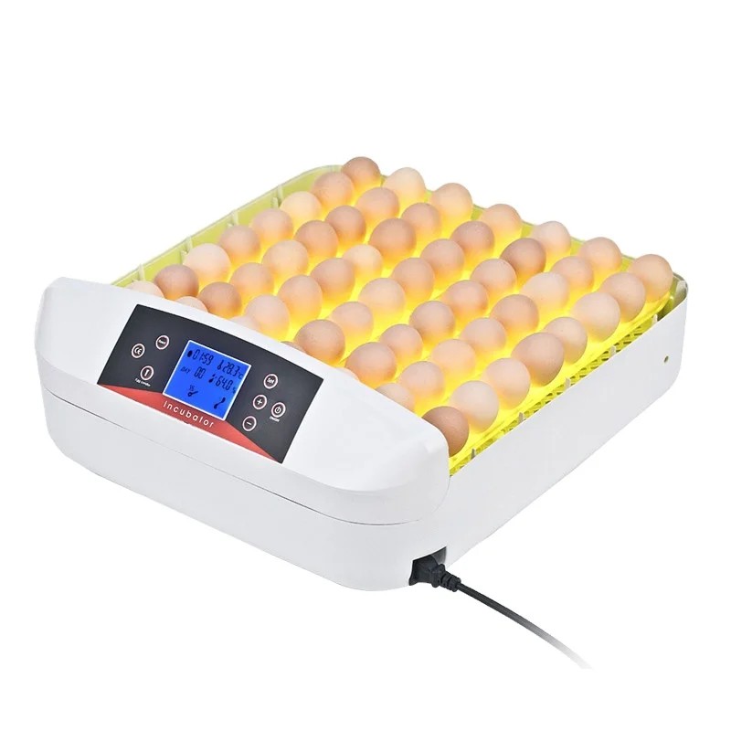 Full automatic energy saving incubator 56 fertile parrot/pigeon/duck/chicken egg hatchery prices
Full automatic energy saving incubator 56 fertile parrot/pigeon/duck/chicken egg hatchery prices