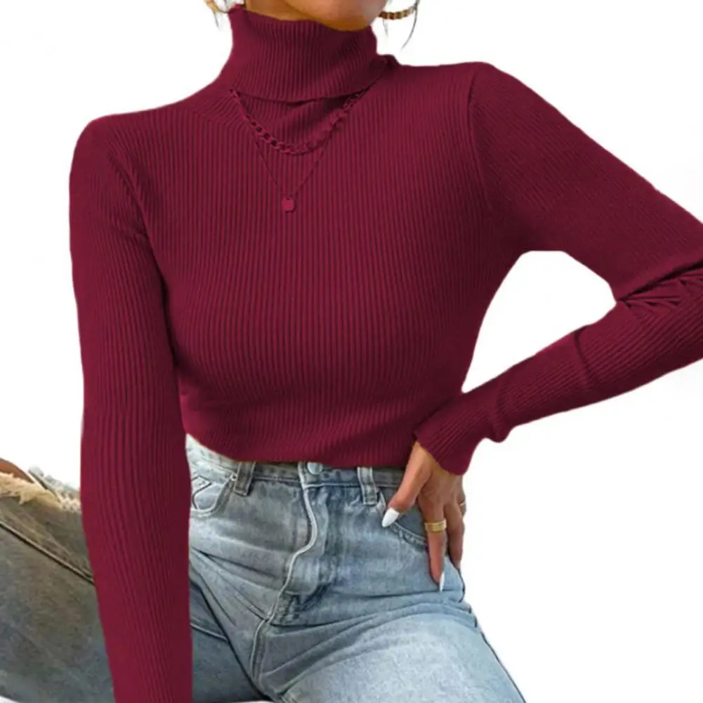 Turtleneck Stretchy Coldproof Women Pullover Solid Simple Bottoming Knitted Sweater Women Knitwear Daily Clothing
Turtleneck Stretchy Coldproof Women Pullover Solid Simple Bottoming Knitted Sweater Women Knitwear Daily Clothing