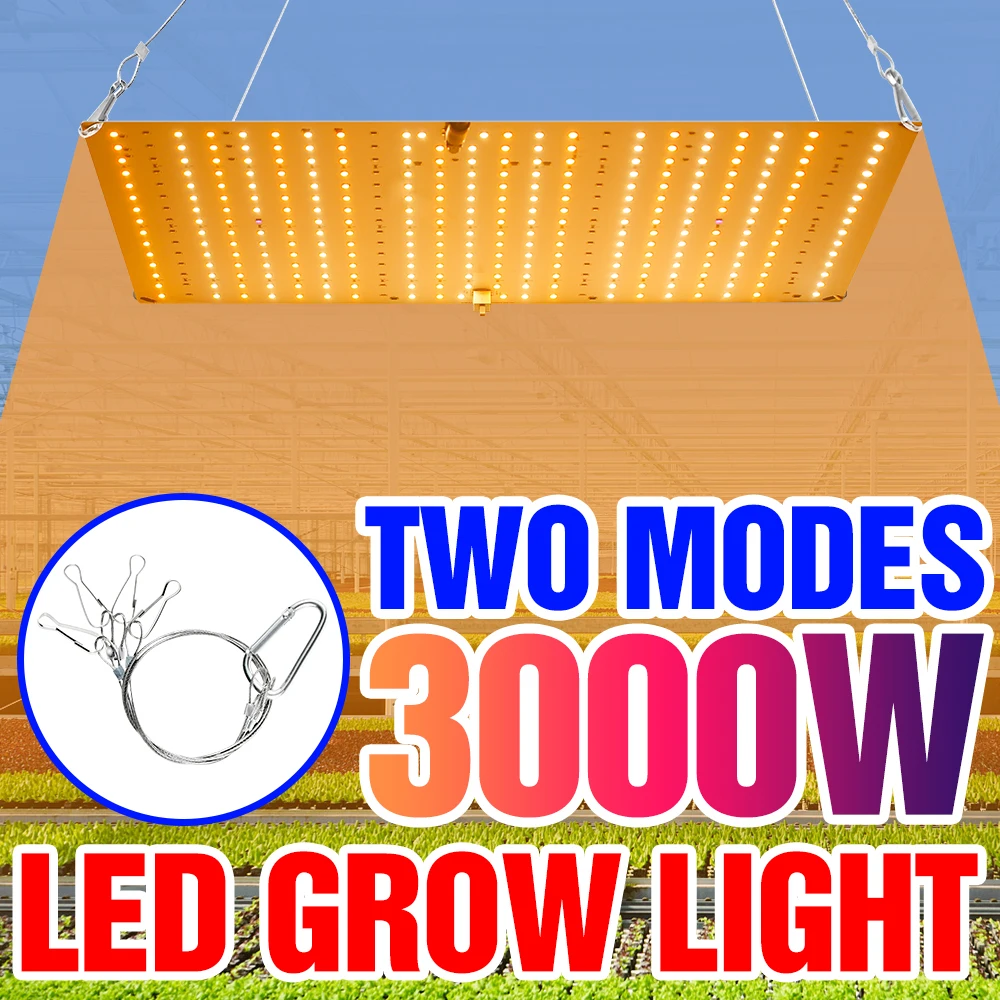 3000W LED Grow Light Panel Full Spectrum Phyto Lamp EU/US Plug For Indoor Grow Hydroponics Tent Plants Growth Light 1500W 2000W
3000W LED Grow Light Panel Full Spectrum Phyto Lamp EU/US Plug For Indoor Grow Hydroponics Tent Plants Growth Light 1500W 2000W