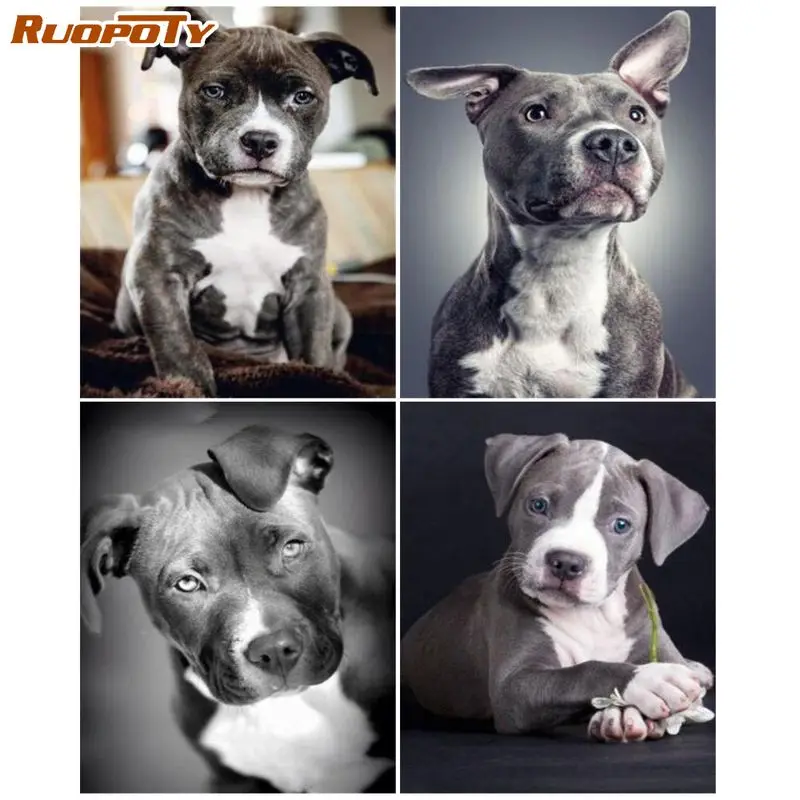 RUOPOTY 60x75cm Painting By Number Frame Hand Painting Canvas Painting Animal dog Number Painting Home Decoration
RUOPOTY 60x75cm Painting By Number Frame Hand Painting Canvas Painting Animal dog Number Painting Home Decoration