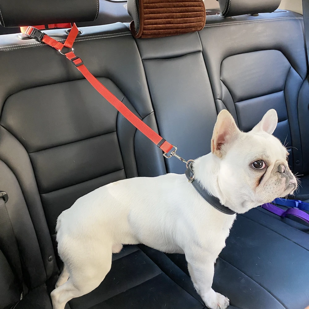 Products Universal Practical Cat Dog Safety Adjustable Car Seat Belt Harness Leash Puppy Seat-belt Travel Clip Strap Leads
Products Universal Practical Cat Dog Safety Adjustable Car Seat Belt Harness Leash Puppy Seat-belt Travel Clip Strap Leads