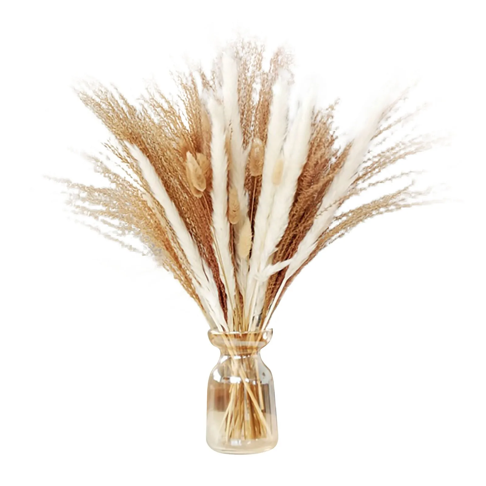 Grass 30pcs 45cm Grass Fluffy Exaggerated Grass Flower Arrangement Dry Flower Grass Dry Plant Home Wedding Decor Beige
Grass 30pcs 45cm Grass Fluffy Exaggerated Grass Flower Arrangement Dry Flower Grass Dry Plant Home Wedding Decor Beige